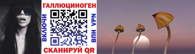 Галлюциногенные грибы ЛСД  Купить где  Камышлов 